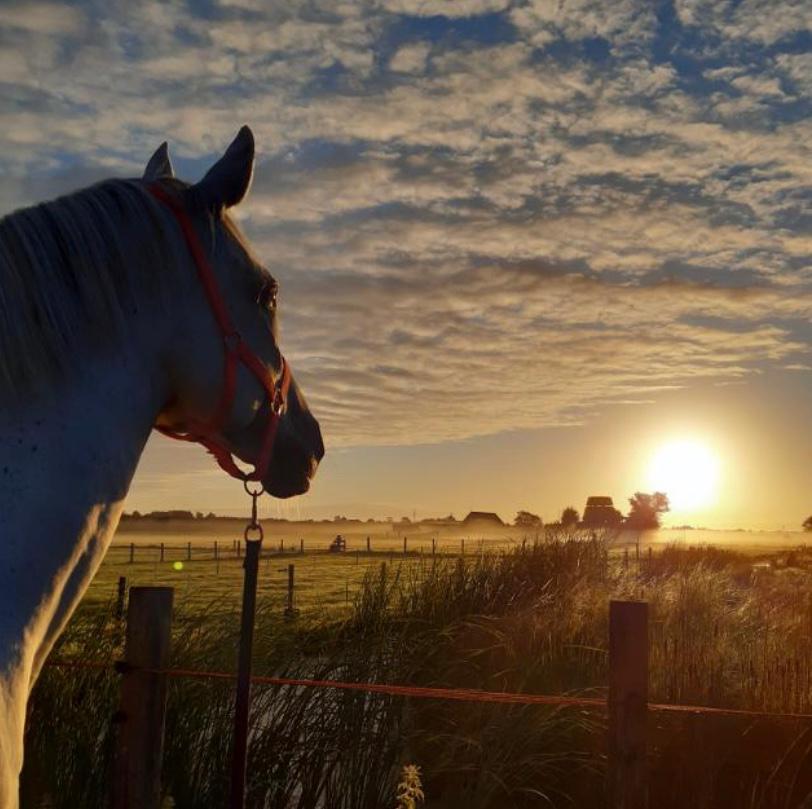 Cloe kijkt naar de zonsondergang